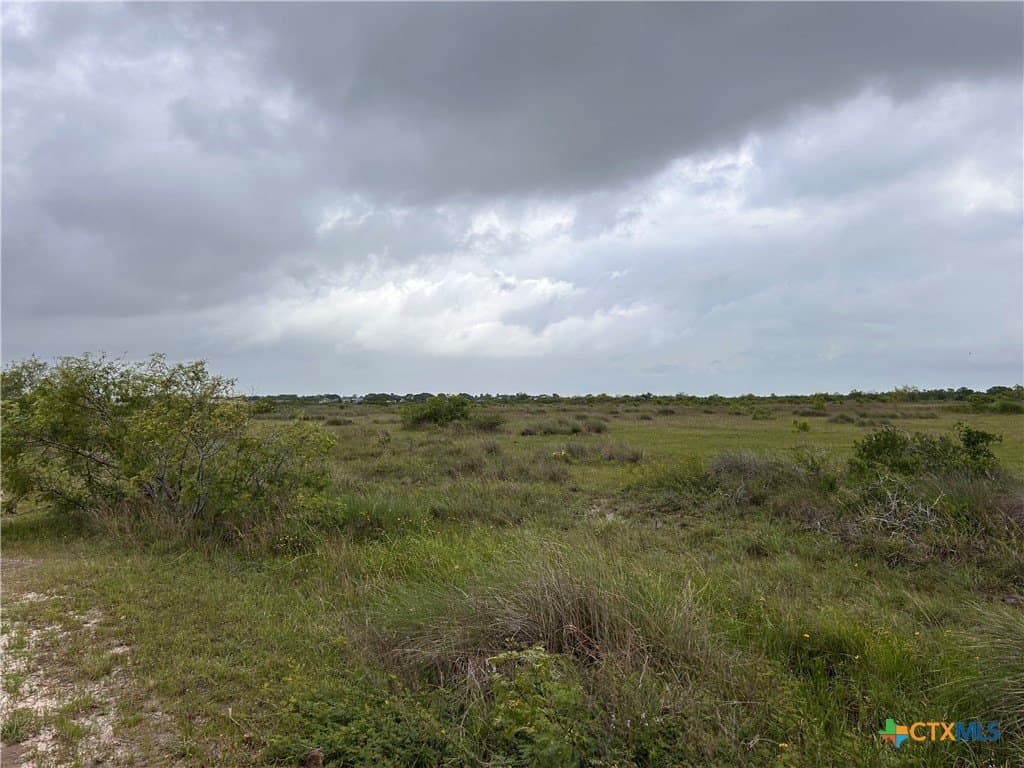 12.49 acres in Calhoun County - photo 11