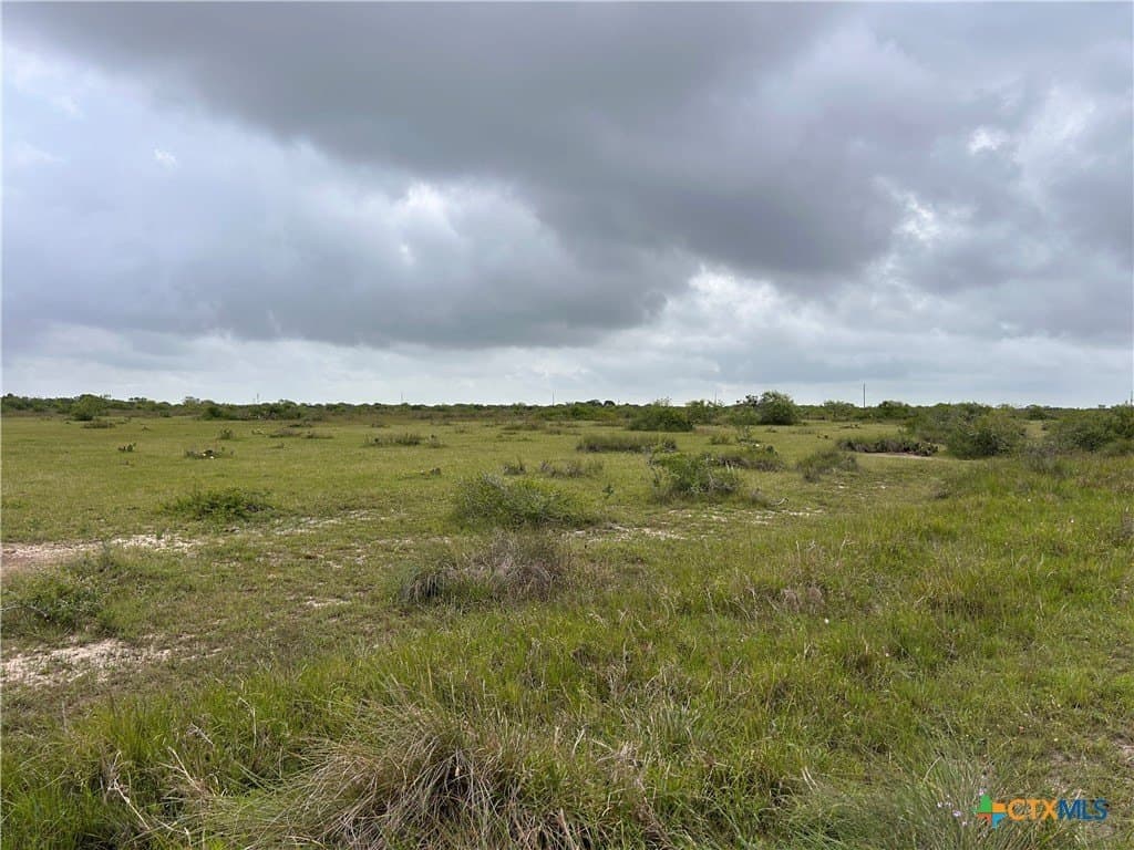 12.49 acres in Calhoun County - photo 6