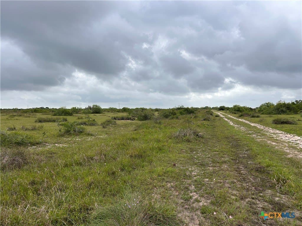 12.49 acres in Calhoun County - photo 5
