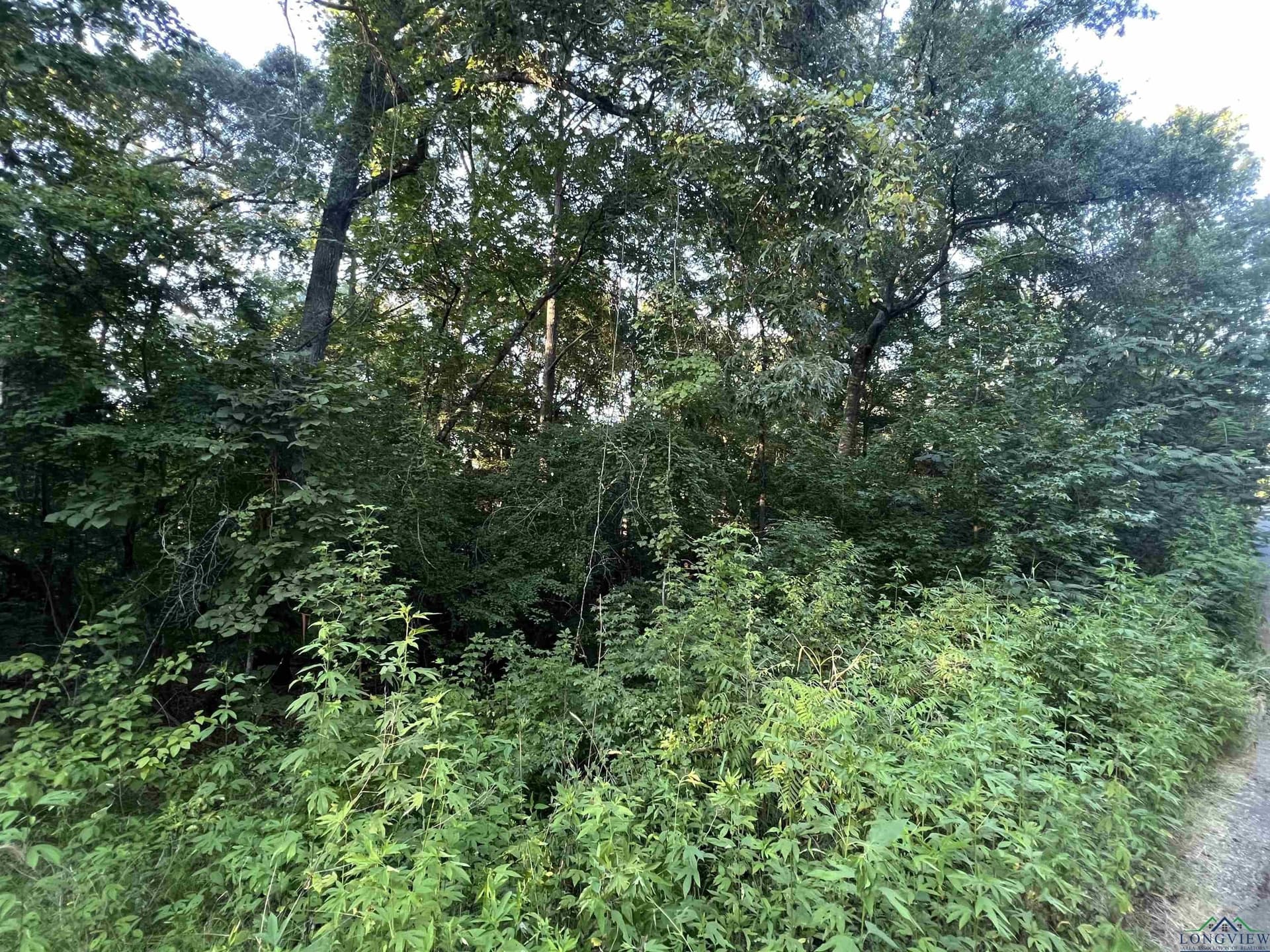Tbd Cottonwood Trail