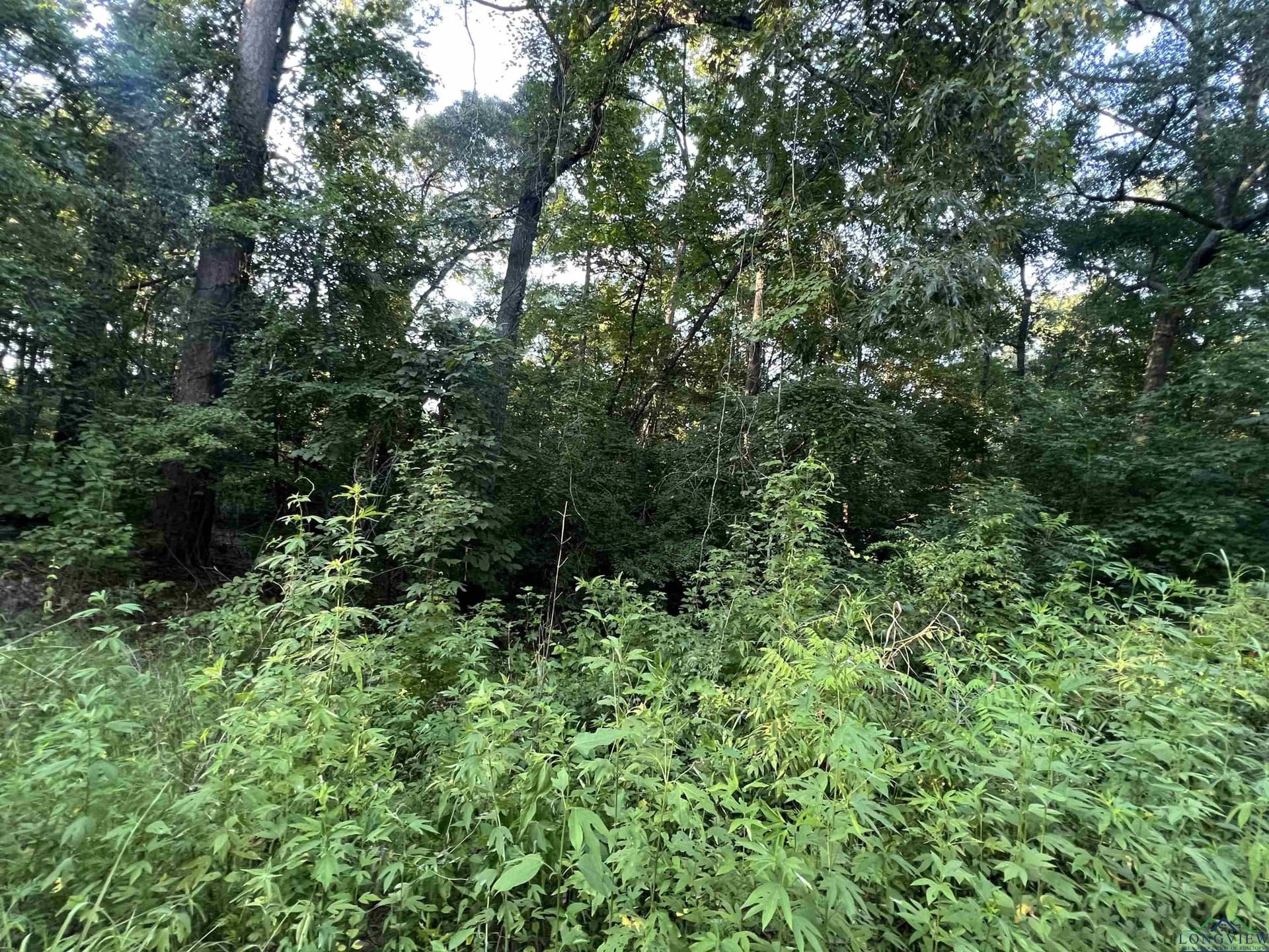0 acres in Upshur County - photo 2