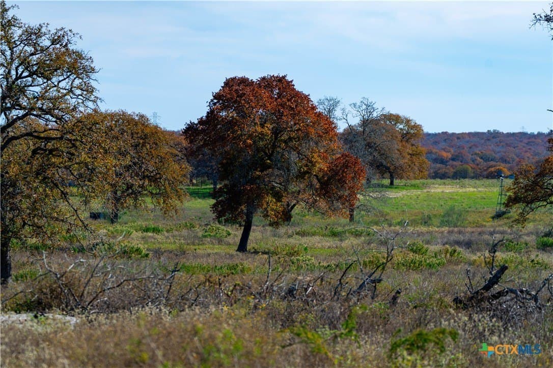 202 acres in Guadalupe County - photo 9