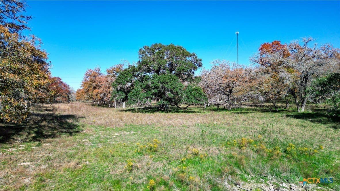 202 acres in Guadalupe County - photo 6