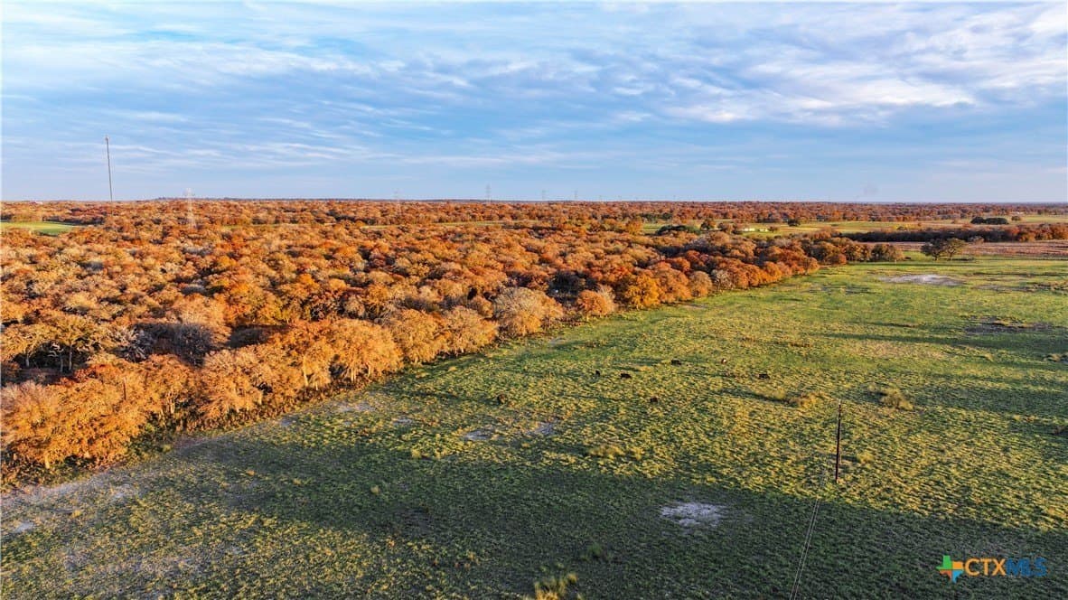 202 acres in Guadalupe County - photo 32