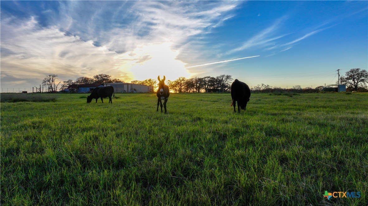 202 acres in Guadalupe County - photo 29