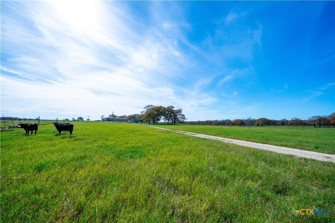 202 acres in Guadalupe County - photo 41