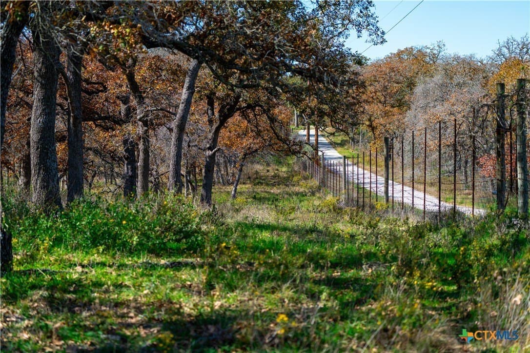 202 acres in Guadalupe County - photo 42
