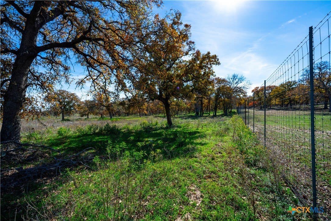202 acres in Guadalupe County - photo 2