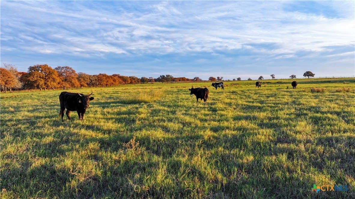 202 acres in Guadalupe County - photo 28
