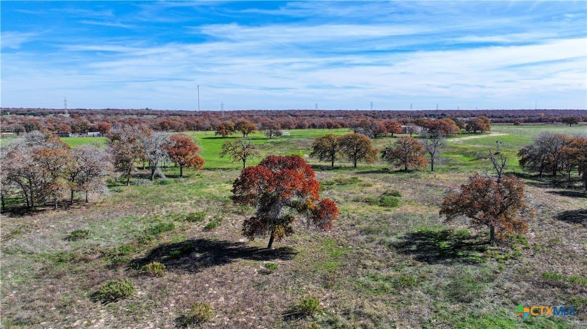 202 acres in Guadalupe County - photo 40