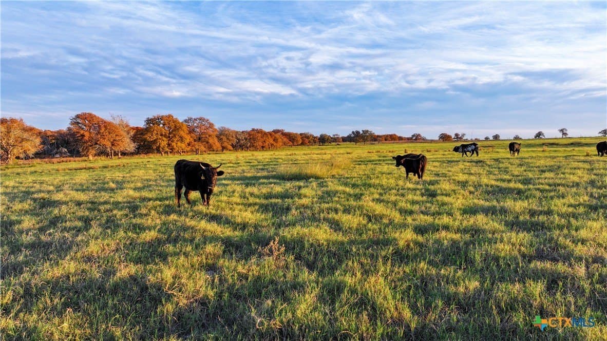 202 acres in Guadalupe County - photo 31