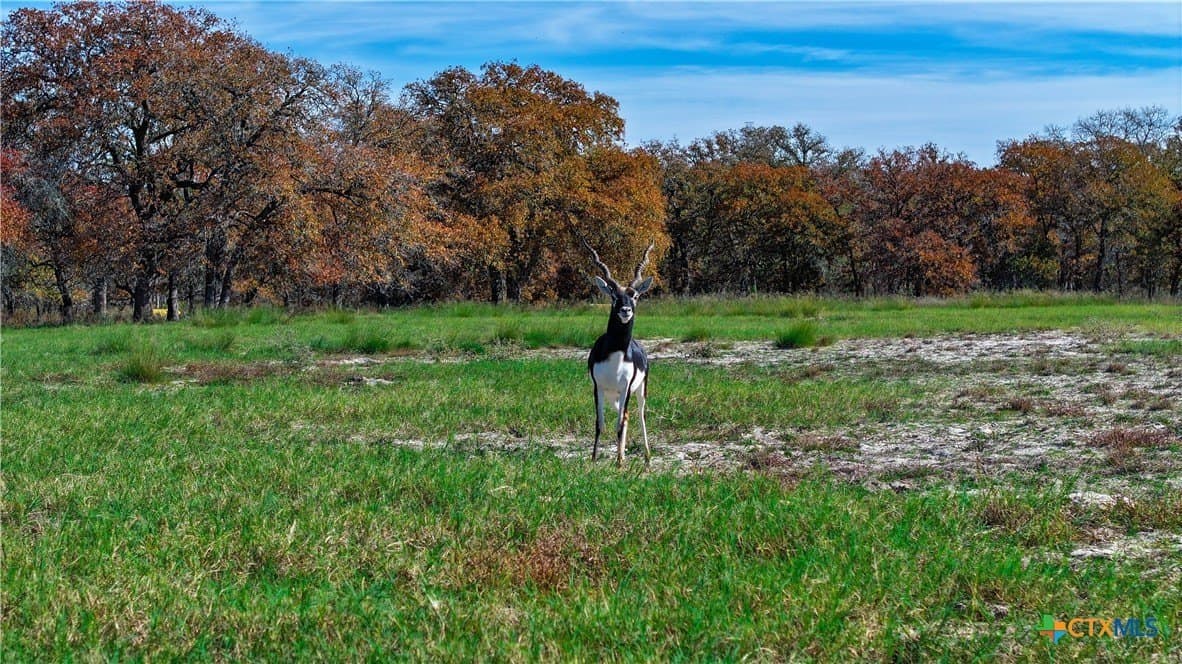 202 acres in Guadalupe County - photo 37