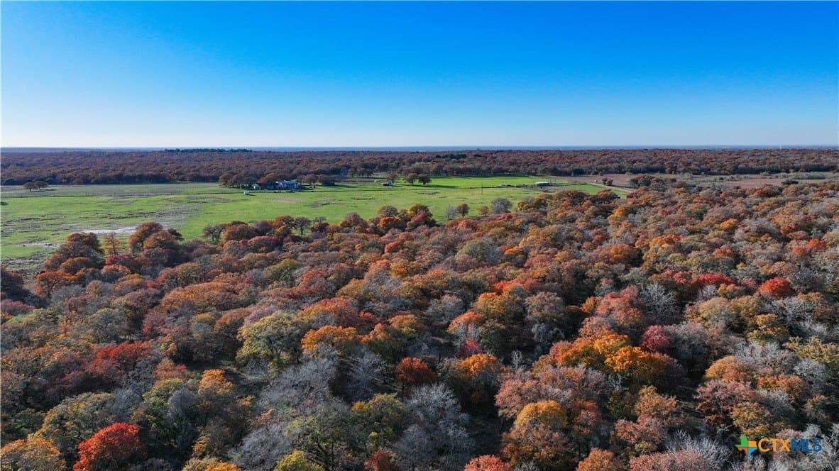 202 acres in Guadalupe County - photo 48