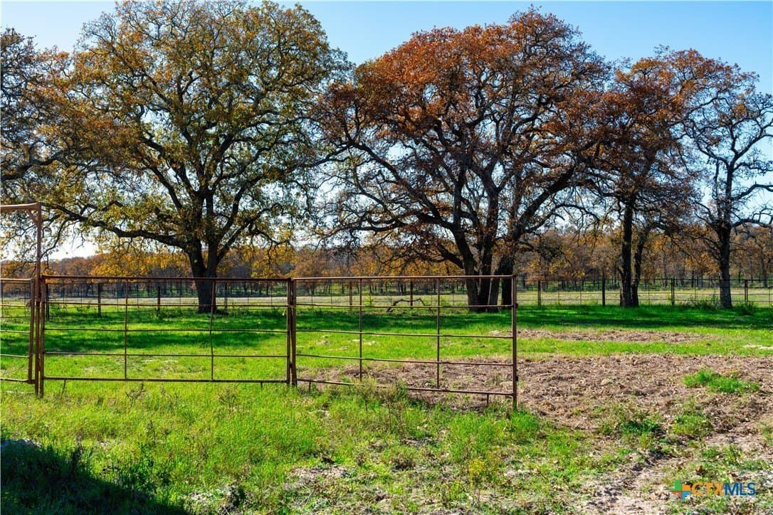202 acres in Guadalupe County - photo 22