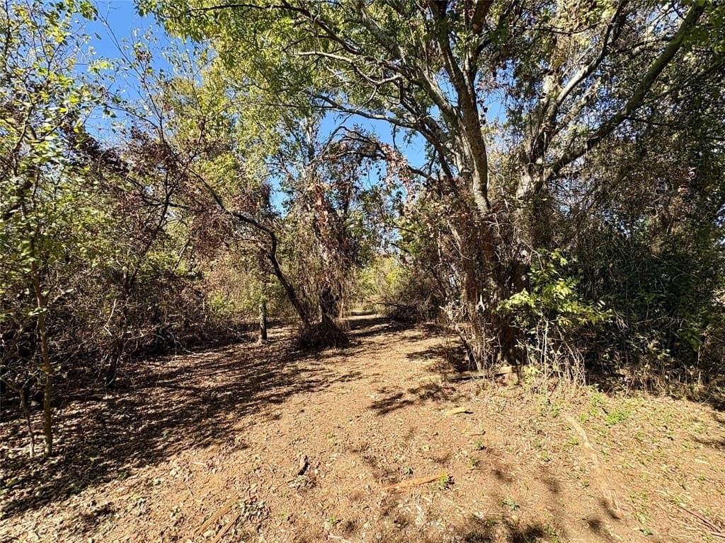 2.3 acres in Johnson County - photo 6