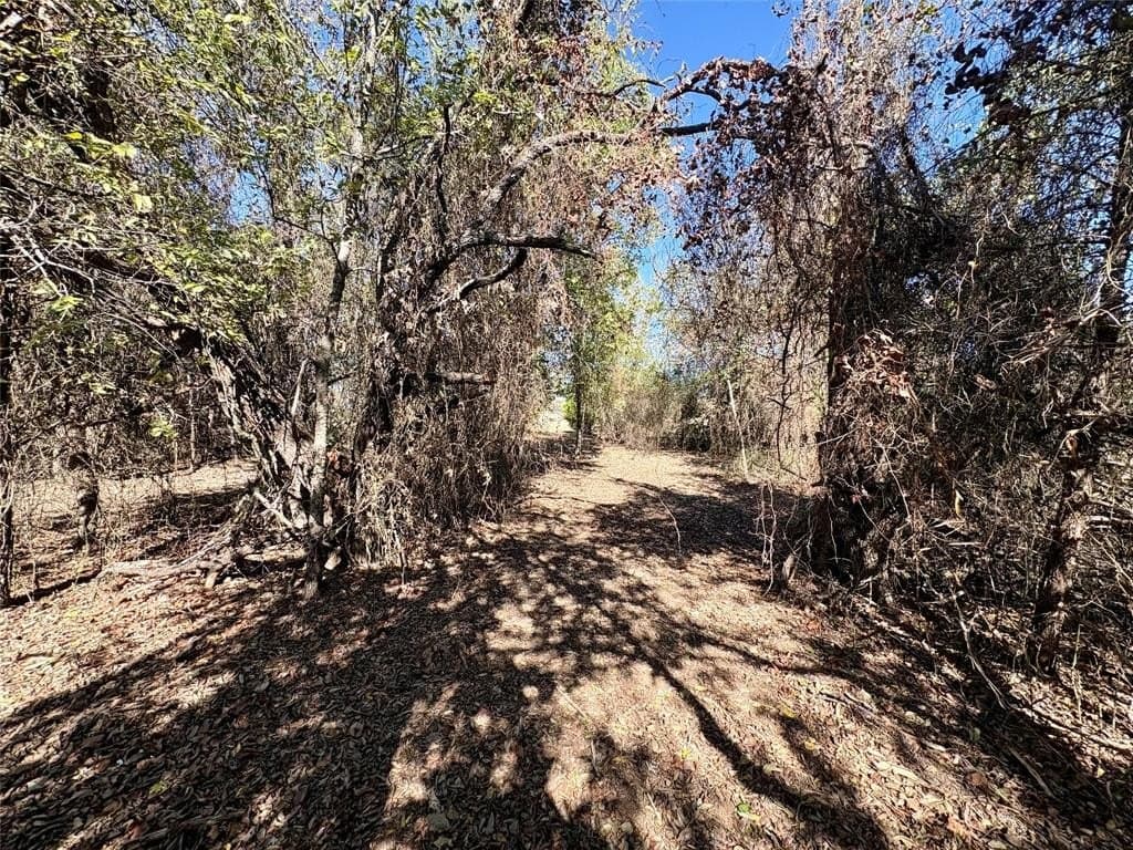 2.3 acres in Johnson County - photo 8