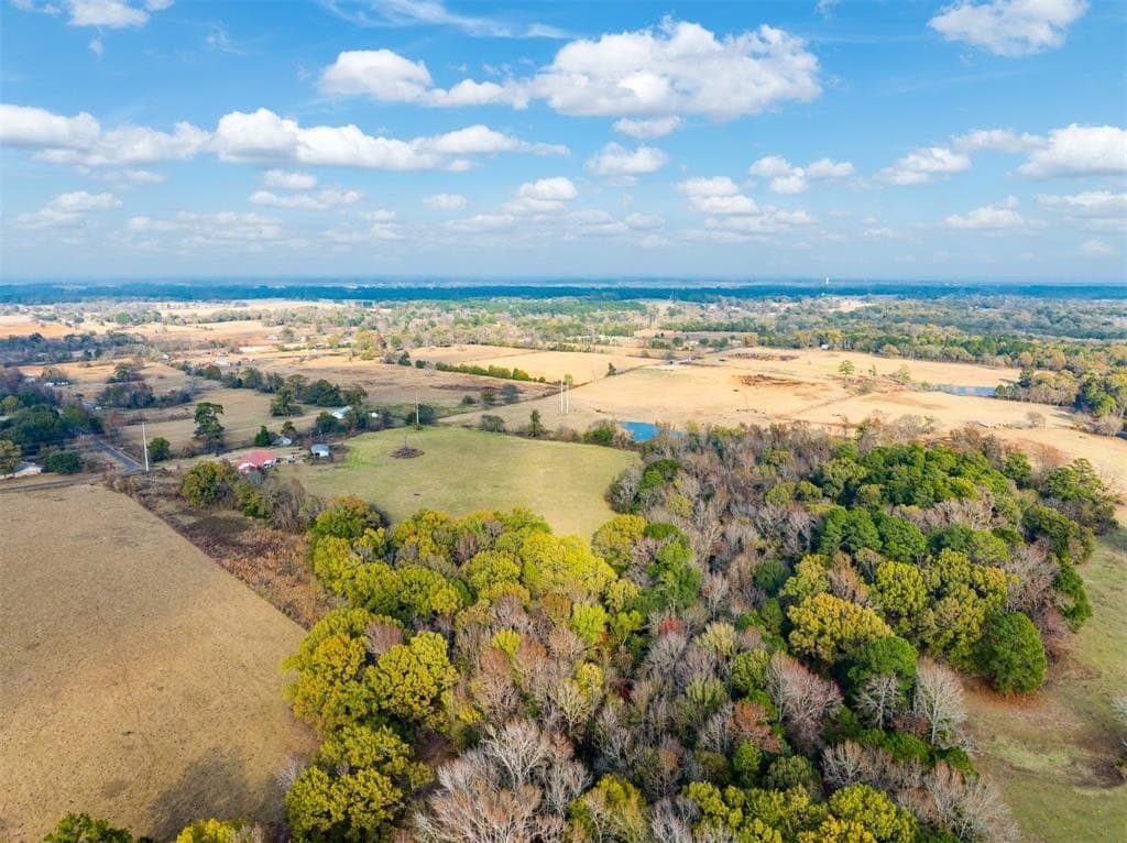 20 acres in Wood County - photo 4