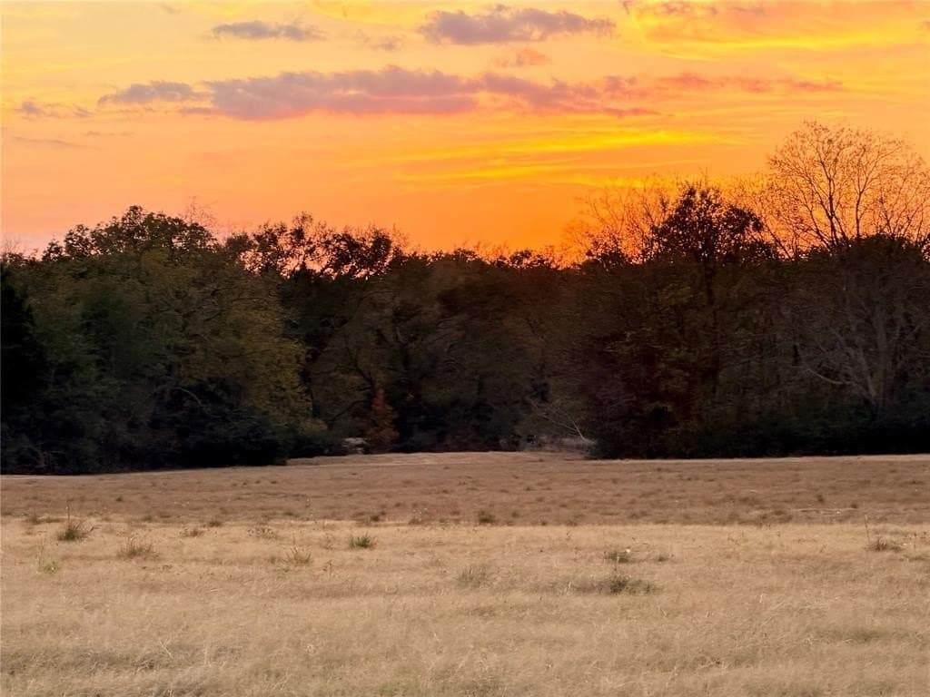 2.26 acres in Rains County - photo 3
