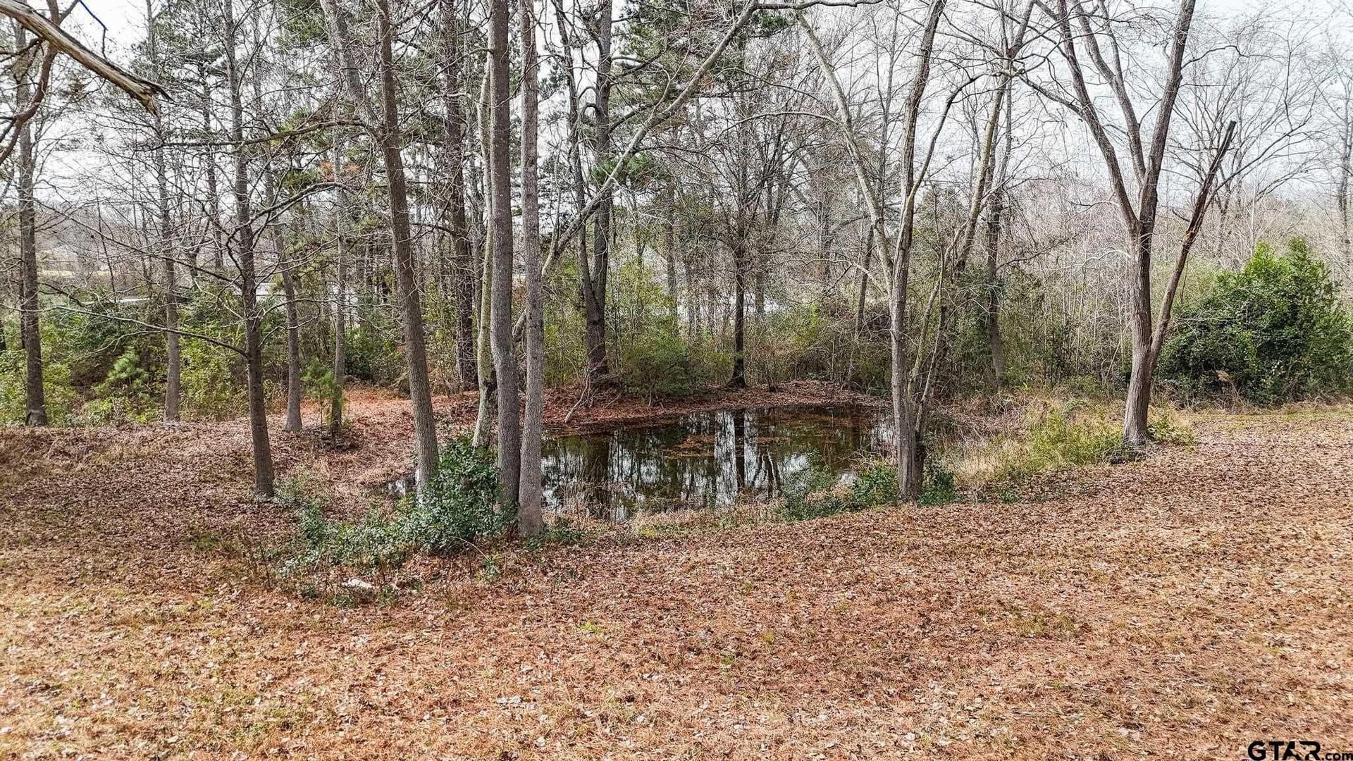 1.83 acres in Henderson County - photo 5