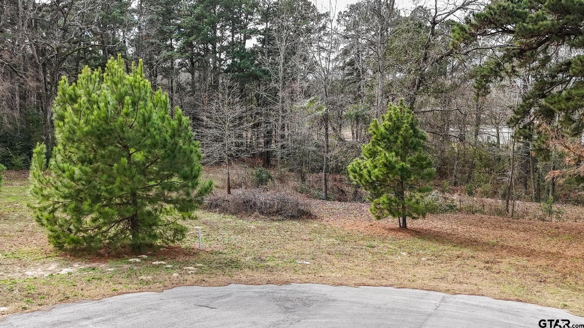 1.83 acres in Henderson County - photo 3