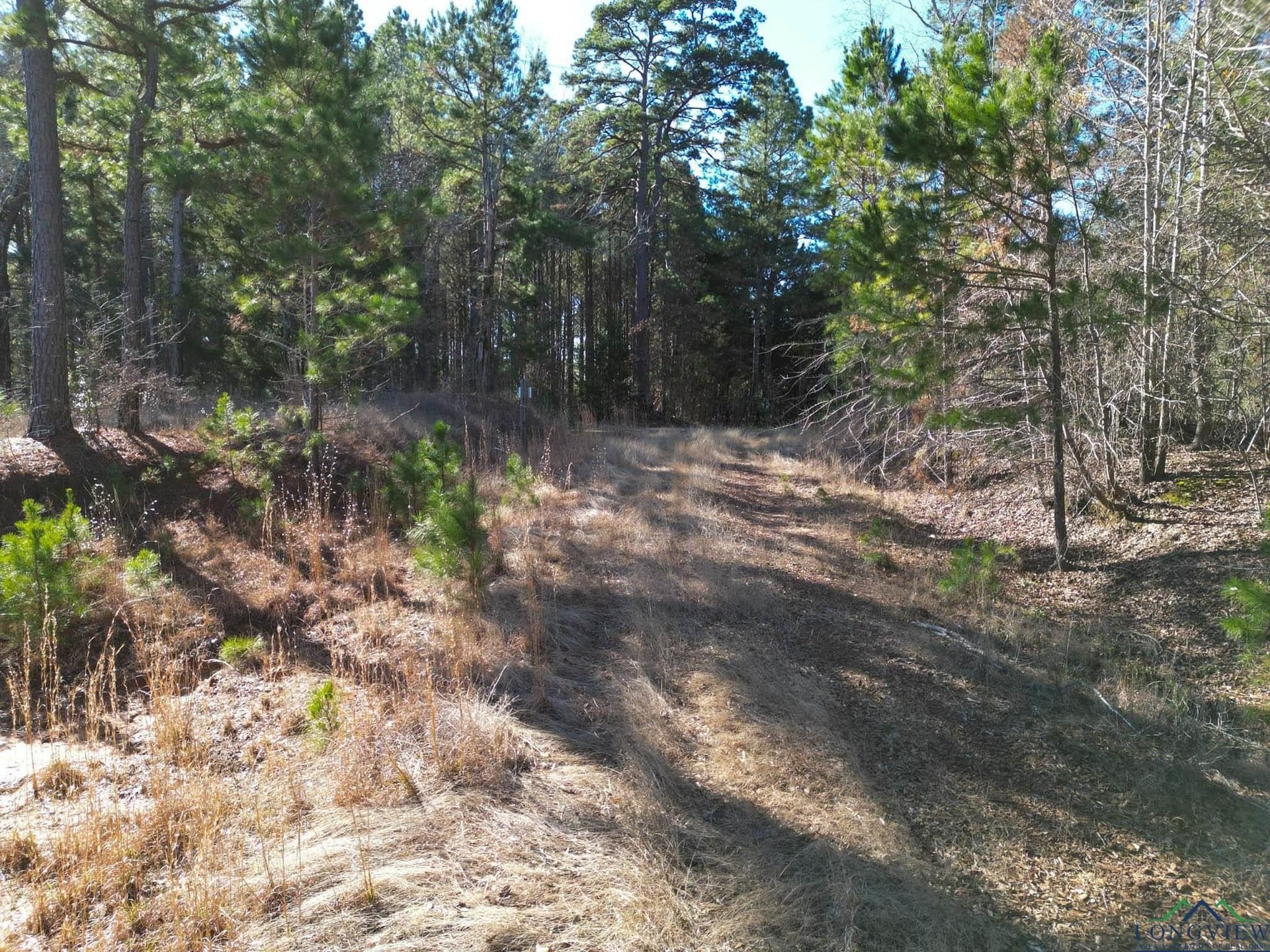15.32 acres in Rusk County - photo 18