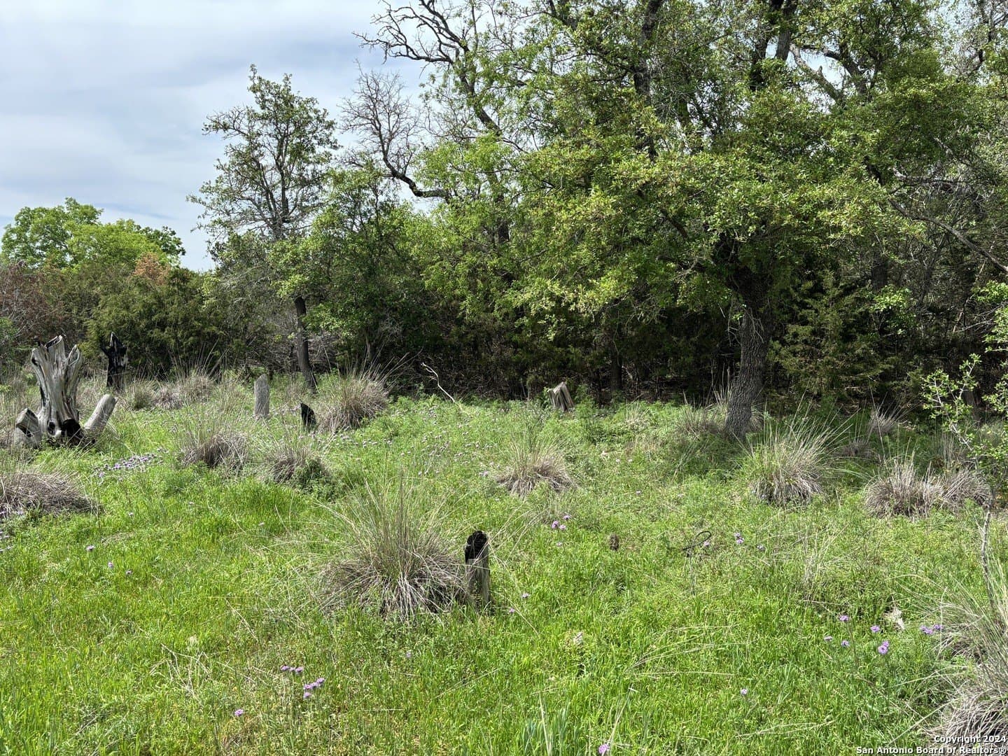 4.31 acres in Kendall County - photo 5