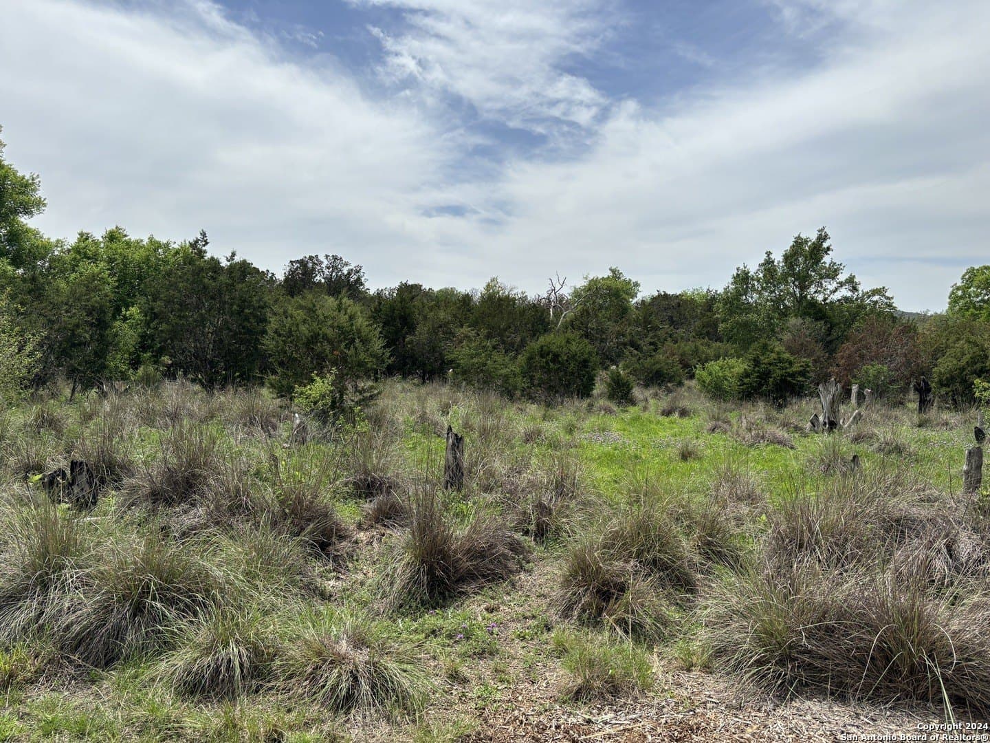 4.31 acres in Kendall County - photo 4