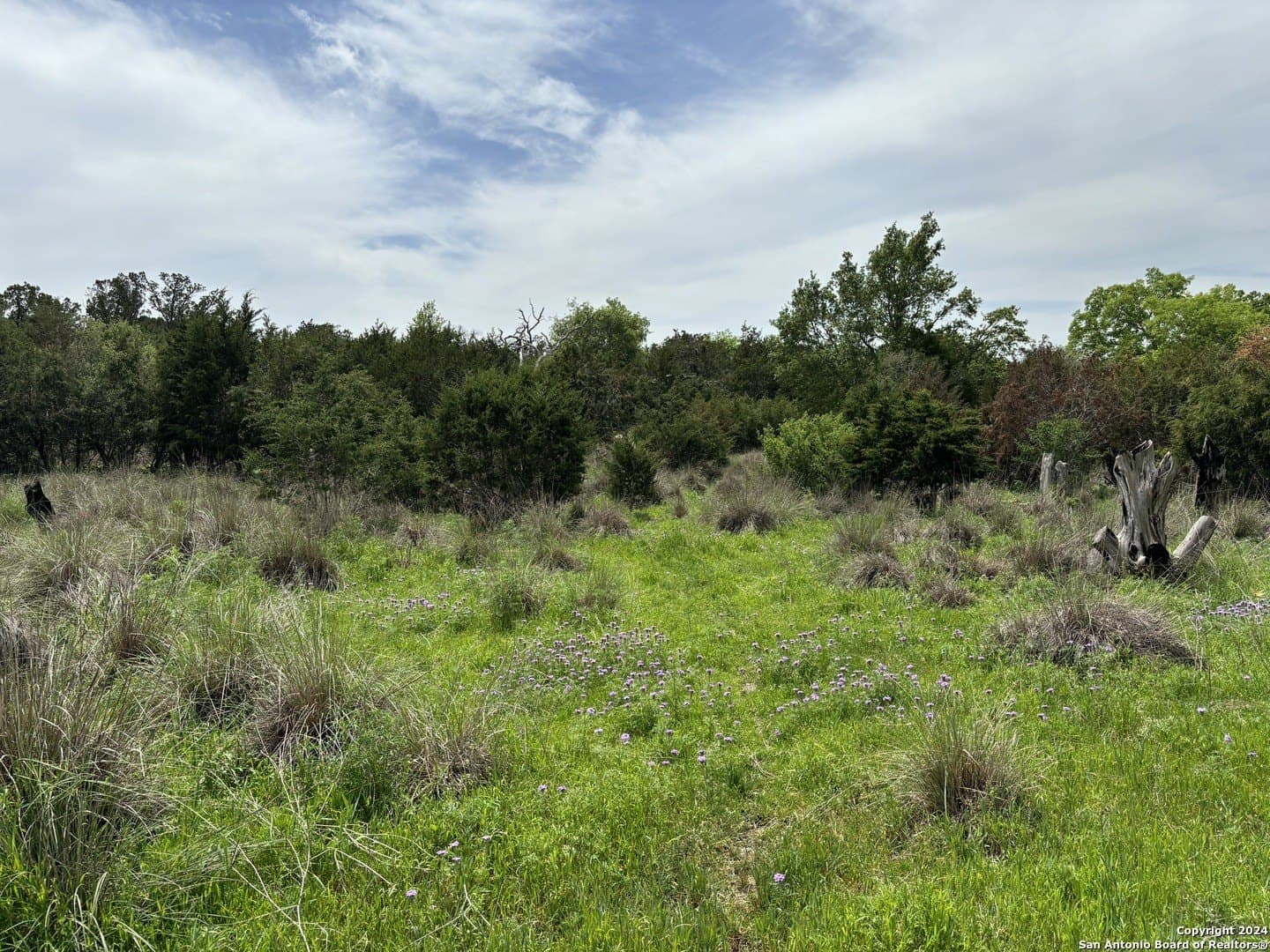 4.31 acres in Kendall County - photo 2