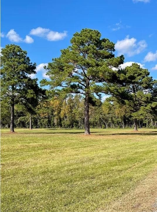 68.89 acres in Texas County - photo 12