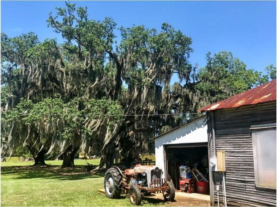 68.89 acres in Texas County - photo 8