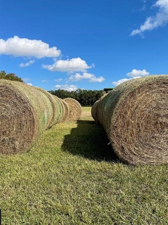 68.89 acres in Texas County - photo 11
