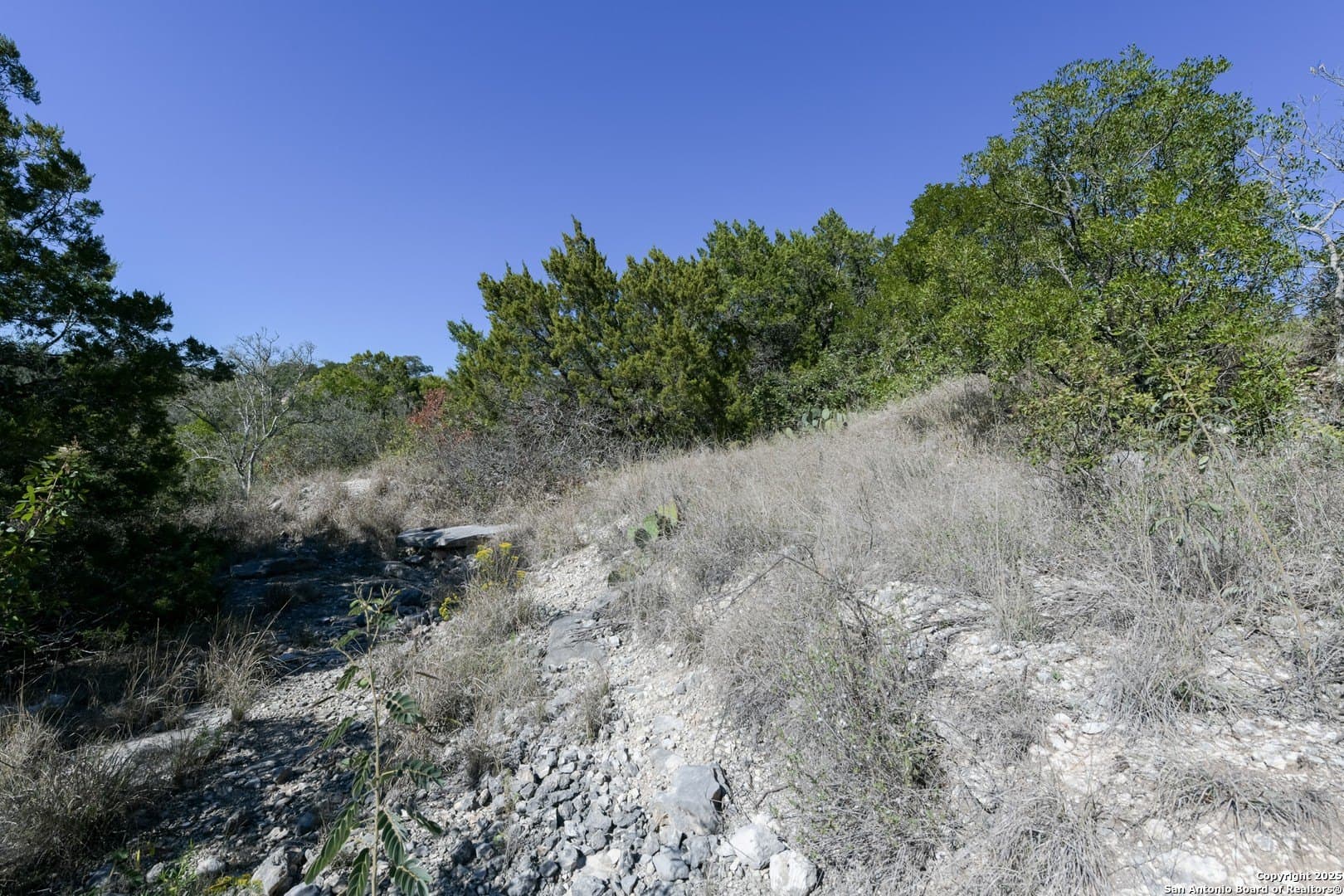 0.28 acres in Bexar County - photo 4