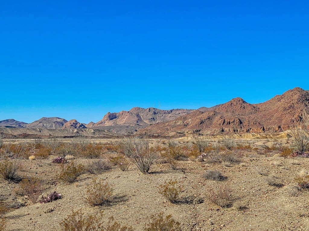 10 acres in Brewster County - photo 6