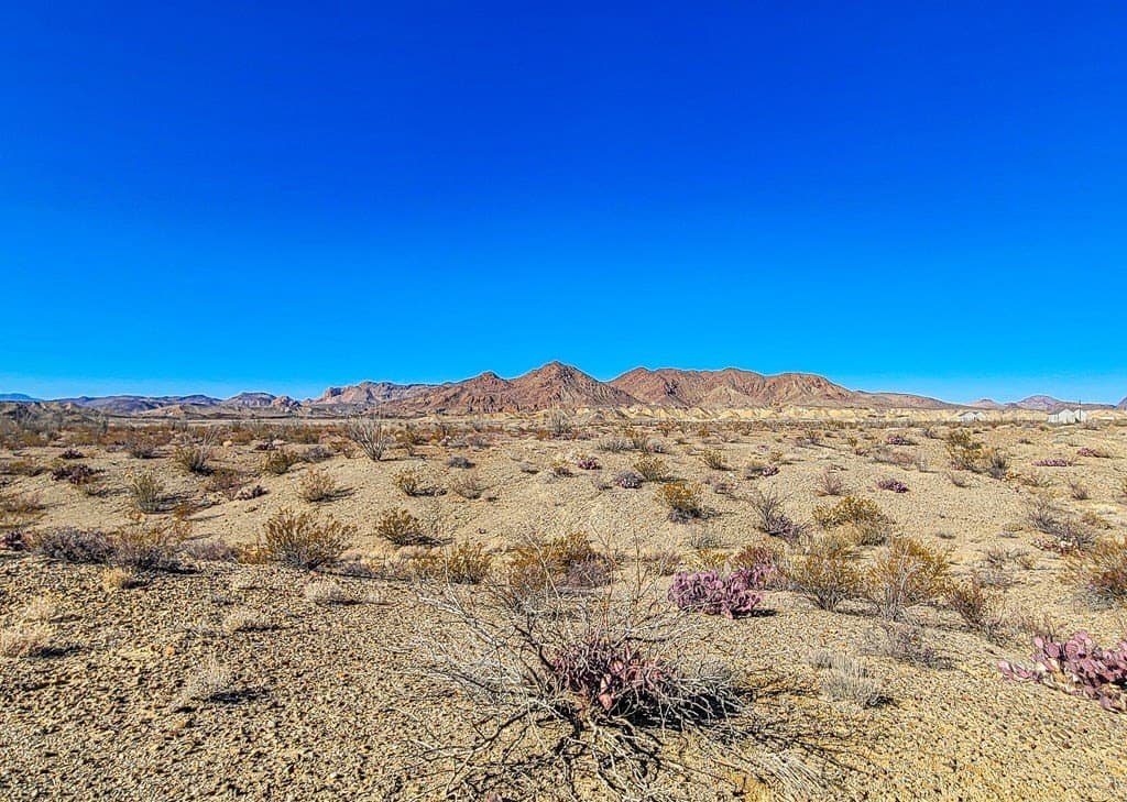 10 acres in Brewster County - photo 17
