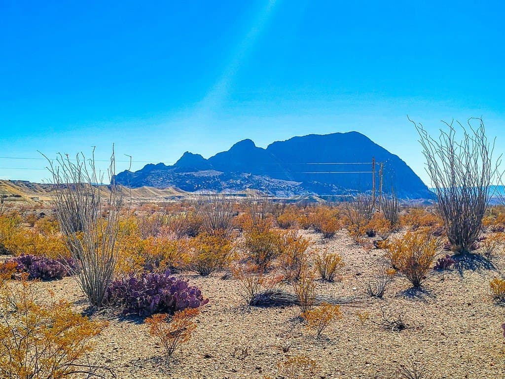 10 acres in Brewster County - photo 21