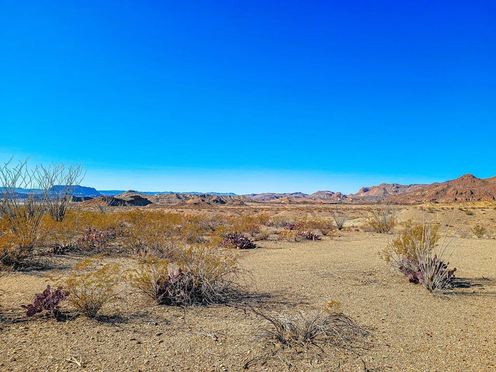 10 acres in Brewster County - photo 14