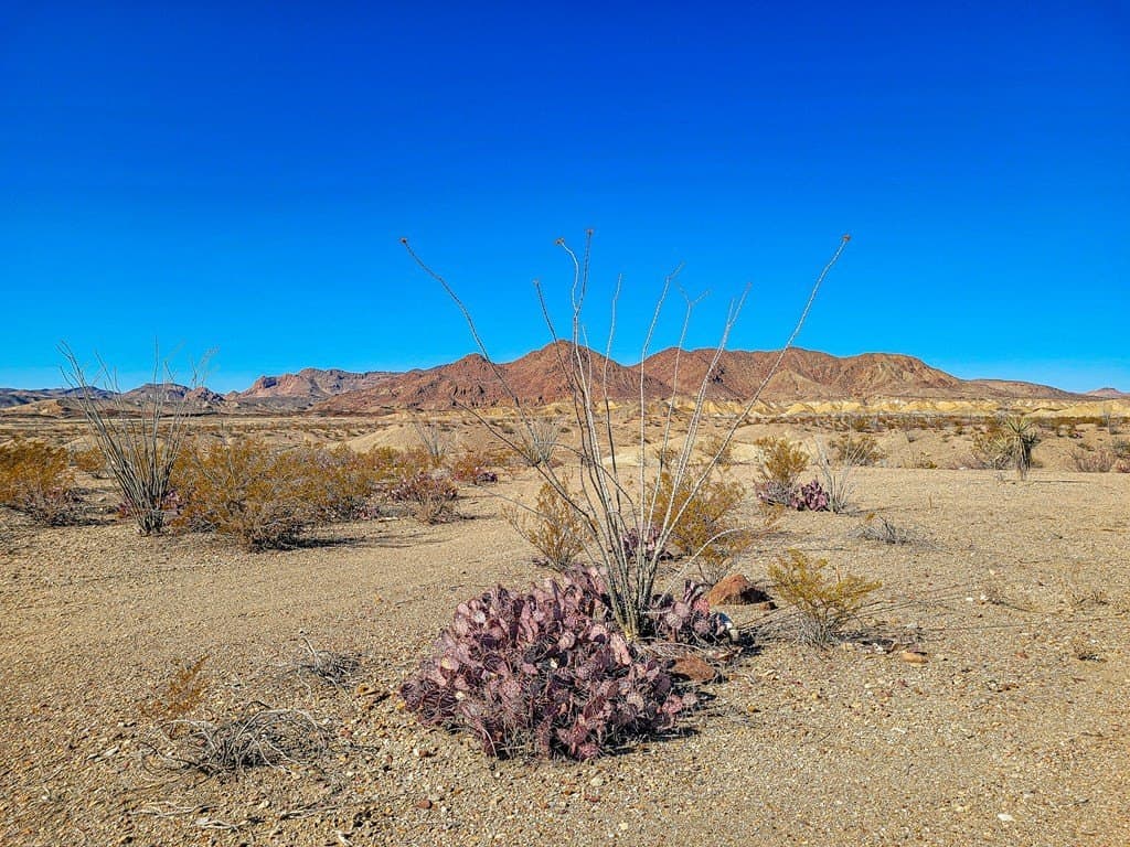 10 acres in Brewster County - photo 4