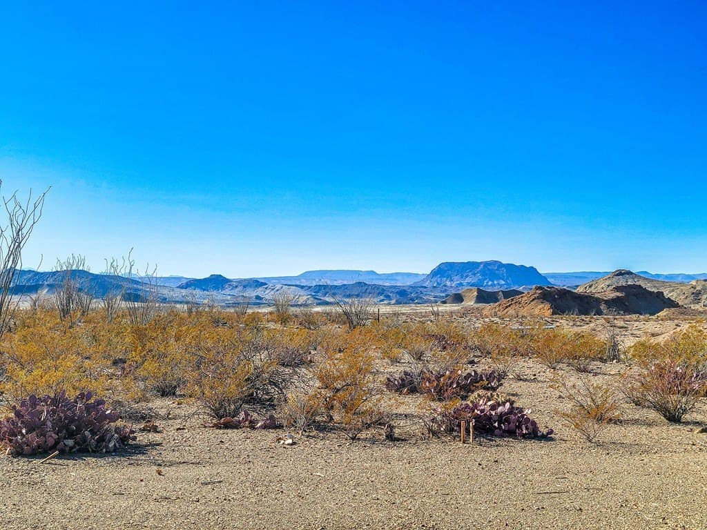 10 acres in Brewster County - photo 18