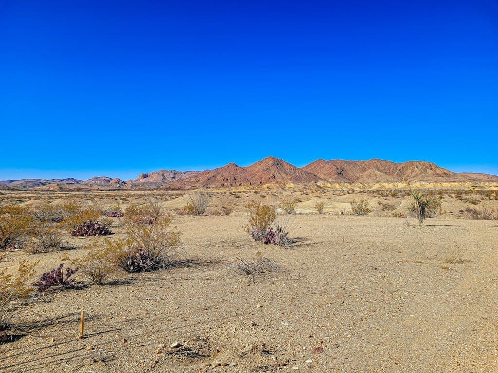 10 acres in Brewster County - photo 10