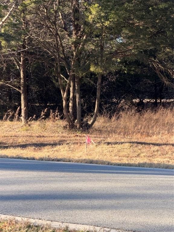 0.25 acres in Grayson County - photo 5