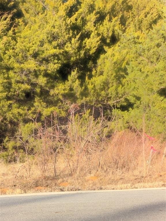 0.25 acres in Grayson County - photo 4