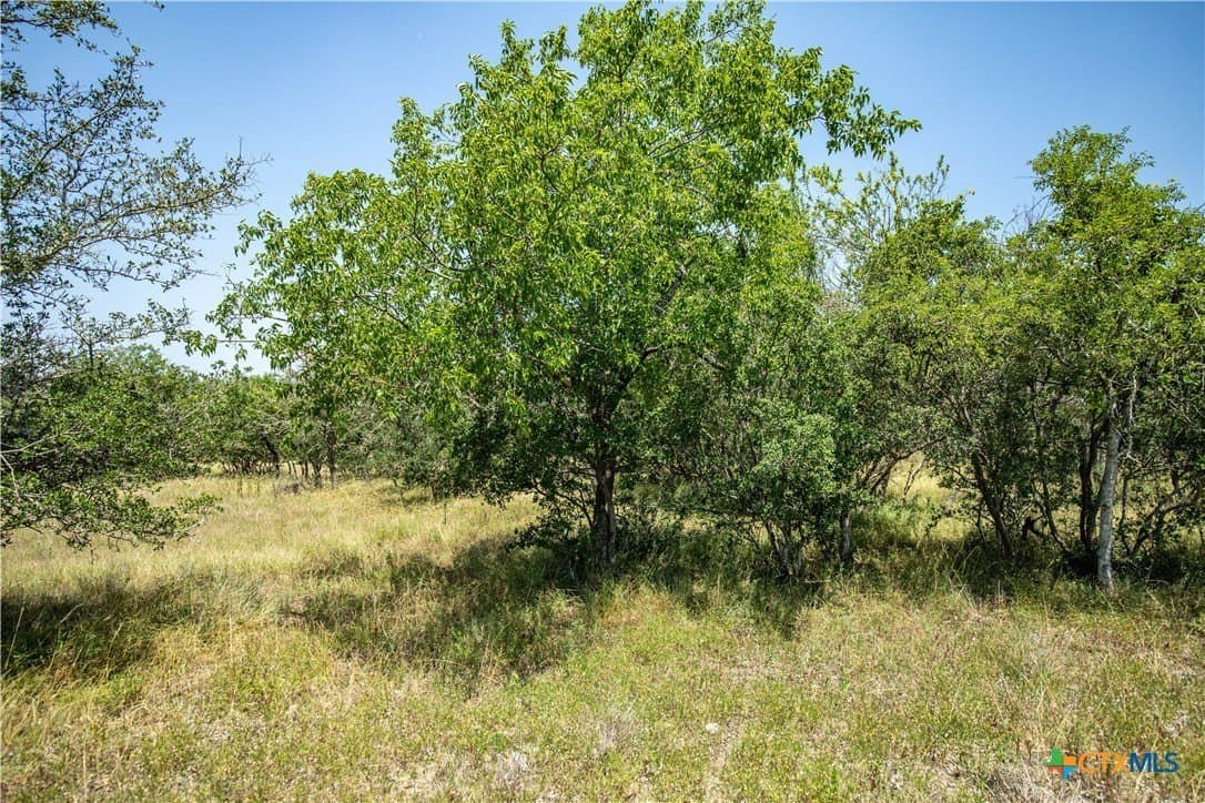 10.02 acres in Kerr County - photo 10