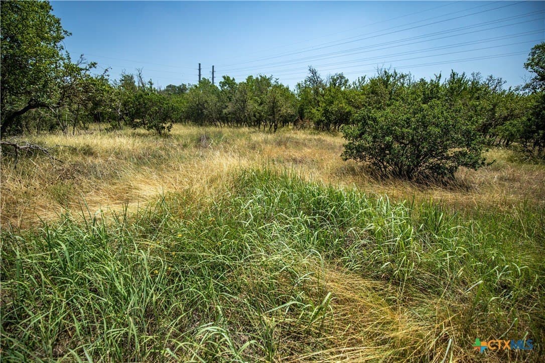 10.02 acres in Kerr County - photo 4