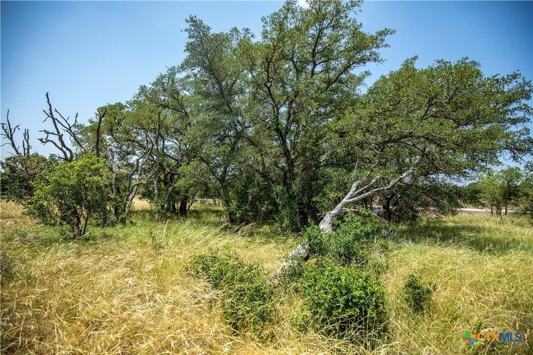 10.02 acres in Kerr County - photo 2