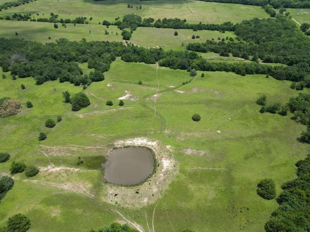 75.98 acres in Hopkins County - photo 3