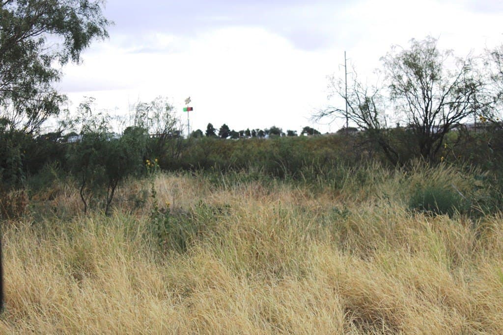 0 acres in Pecos County - photo 5