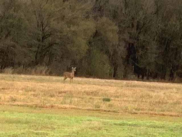 69 acres in Van Zandt County - photo 60