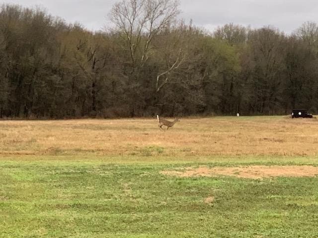 69 acres in Van Zandt County - photo 61