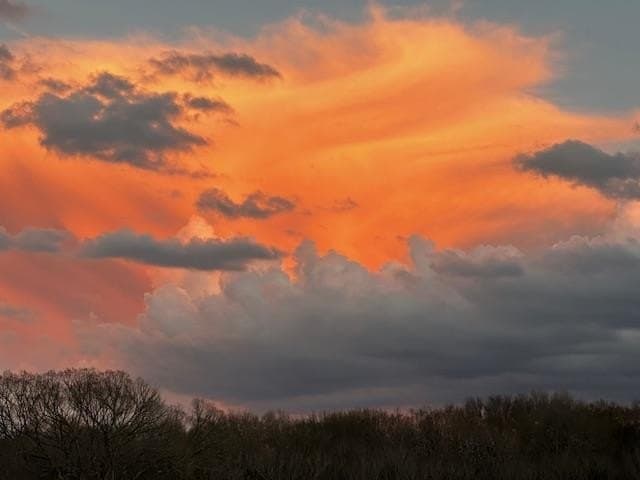 69 acres in Van Zandt County - photo 65