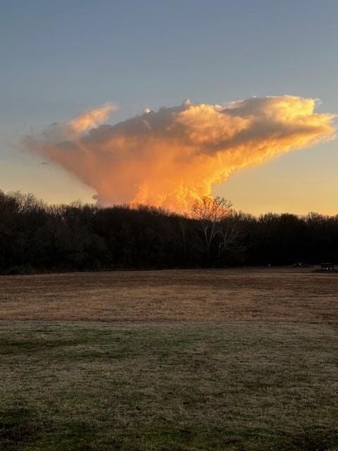 69 acres in Van Zandt County - photo 64